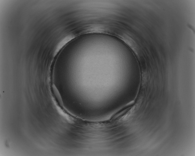 X0000097651042200803071505