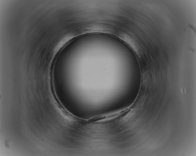 X0000097651043200803071505