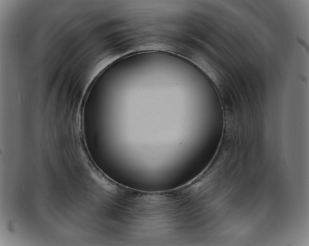 X0000097651044200803071505