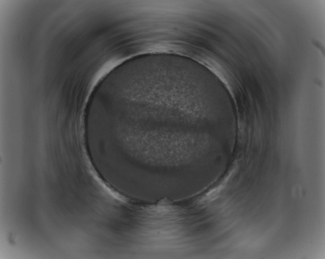 X0000097651045200803071505