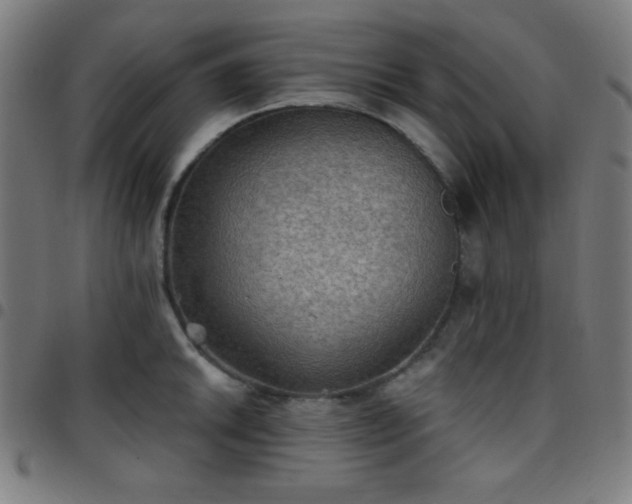 X0000097651046200803071505