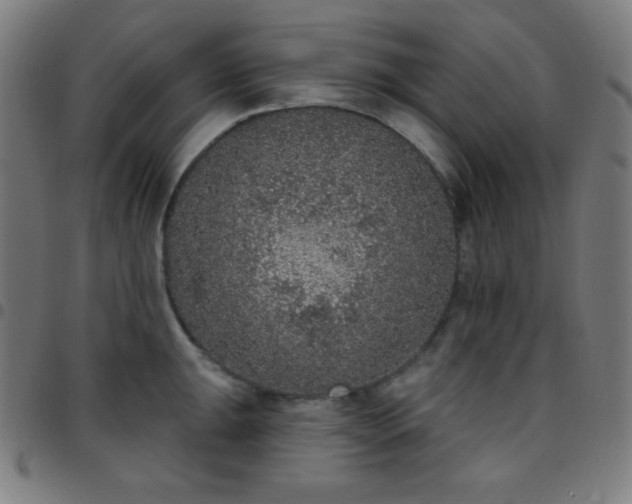 X0000097651047200803071505