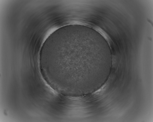 X0000097651048200803071505