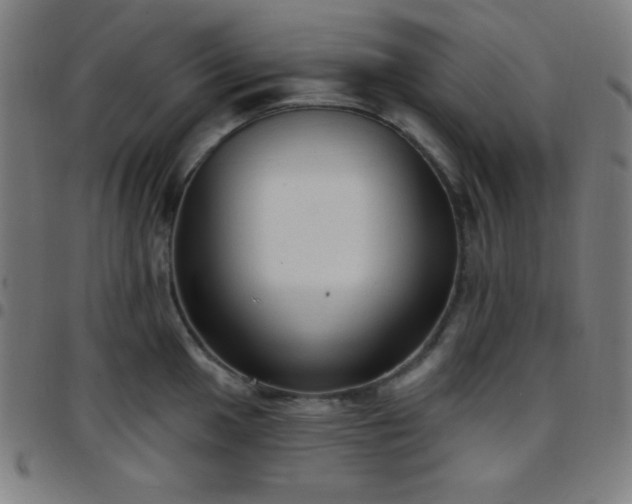 X0000097651049200803071505