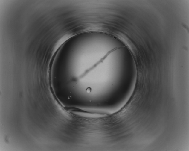 X0000097651050200803071505