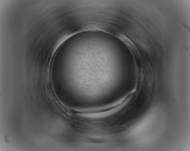 X0000097651052200803071505