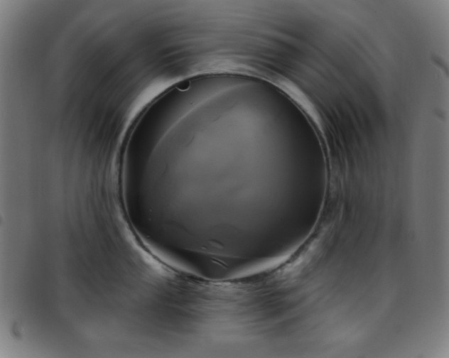 X0000097651053200803071505