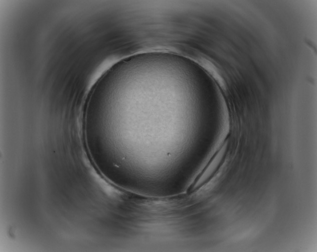 X0000097651054200803071505