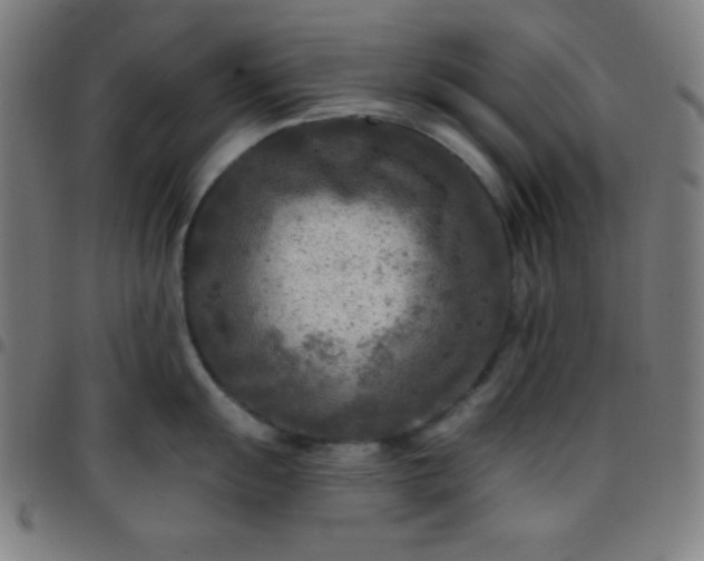 X0000097651055200803071505