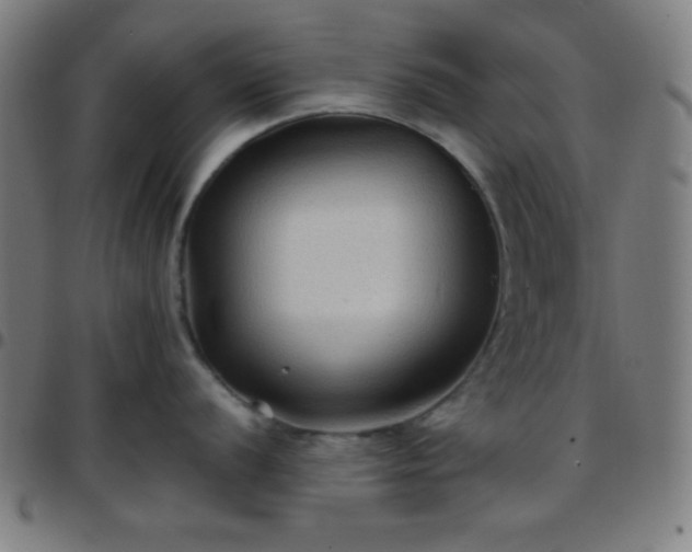 X0000097651056200803071505