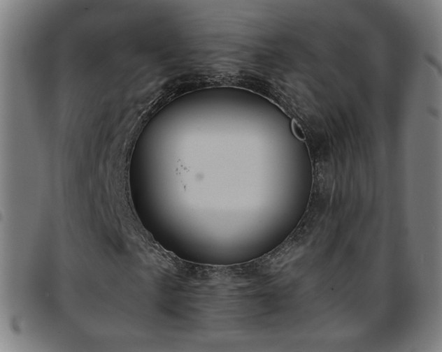 X0000097651057200803071504