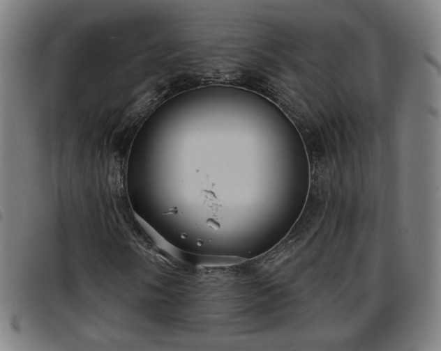 X0000097651058200803071504