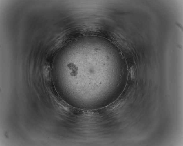 X0000097651059200803071504