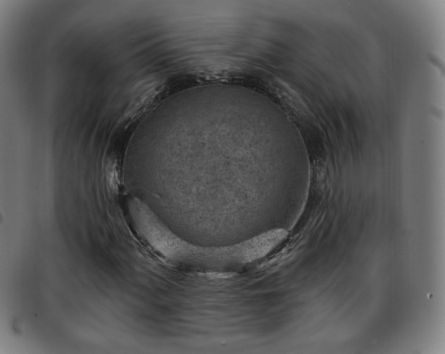 X0000097651060200803071504