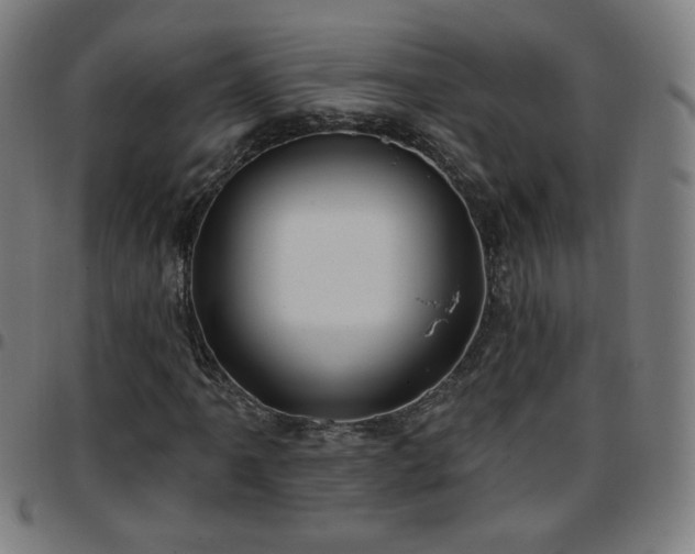 X0000097651061200803071504