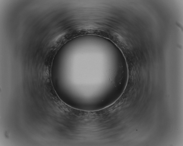 X0000097651062200803071504