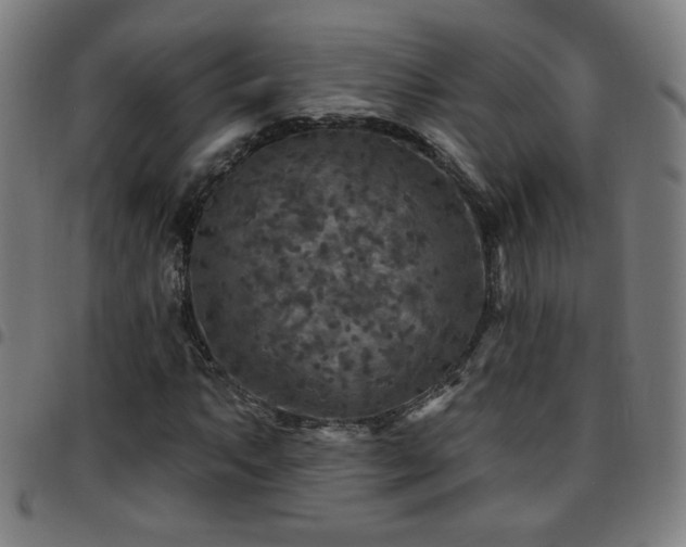 X0000097651063200803071504