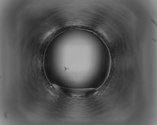 X0000097651064200803071504