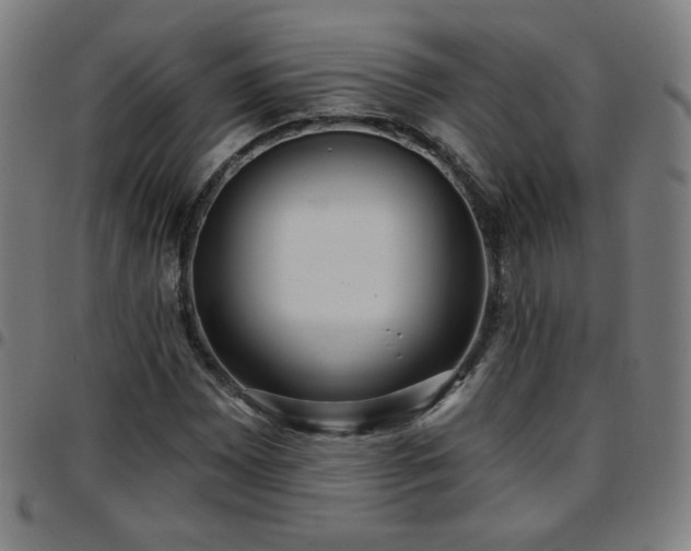 X0000097651065200803071504