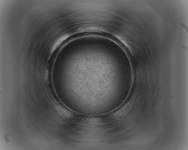 X0000097651066200803071504