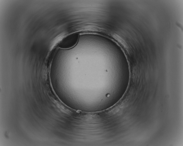 X0000097651067200803071504