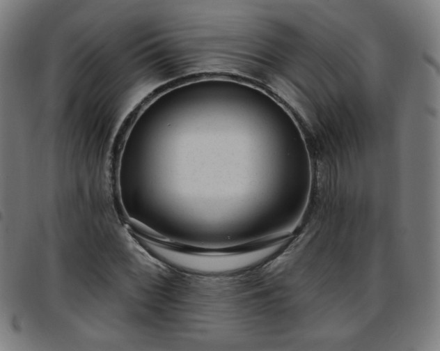 X0000097651068200803071504