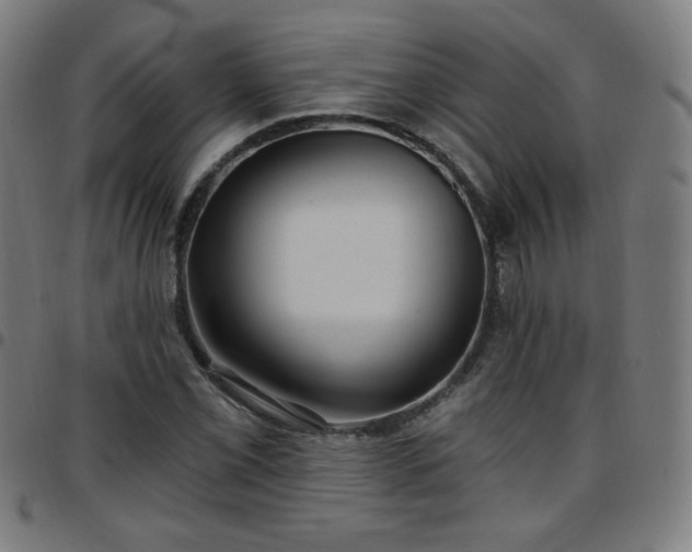 X0000097651069200803071504