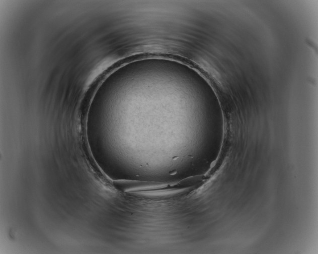 X0000097651070200803071504