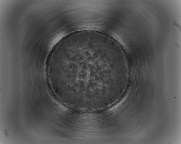 X0000097651071200803071504