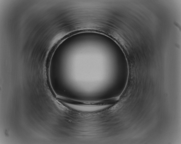 X0000097651072200803071504