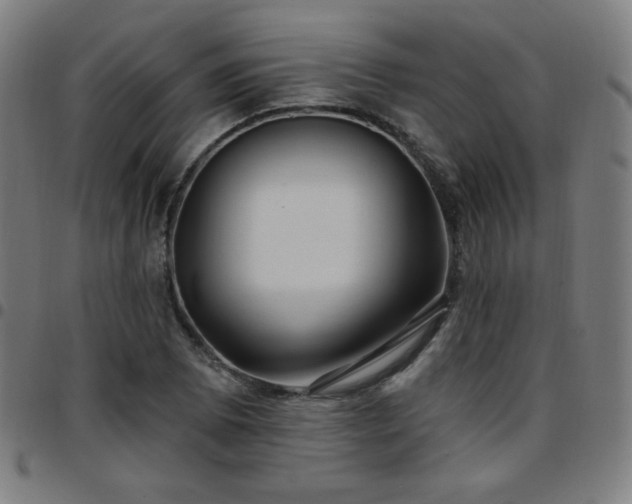 X0000097651073200803071504