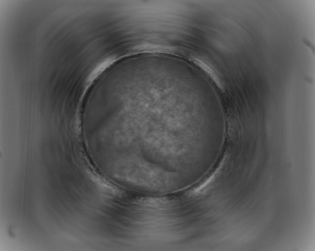 X0000097651074200803071504