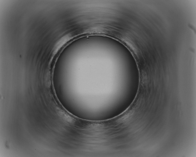 X0000097651075200803071504