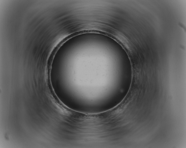 X0000097651076200803071504