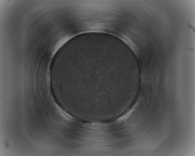 X0000097651077200803071504