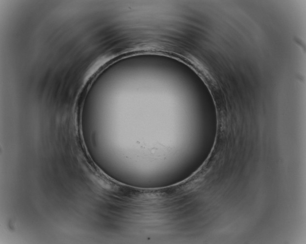 X0000097651078200803071504