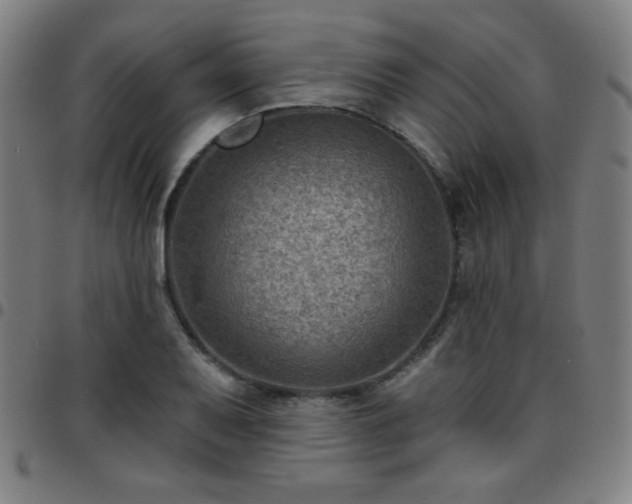 X0000097651079200803071504