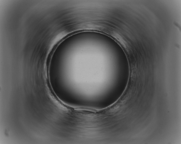 X0000097651080200803071504