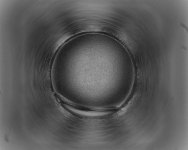 X0000097651081200803071504