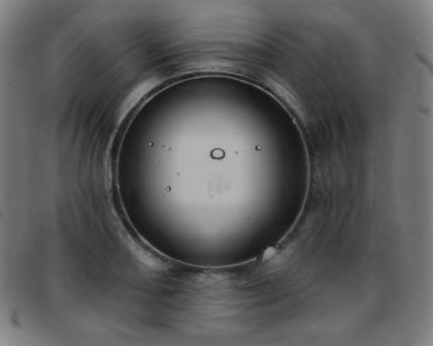 X0000097651082200803071504