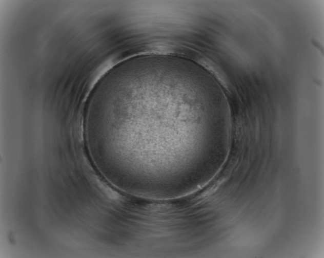 X0000097651083200803071504