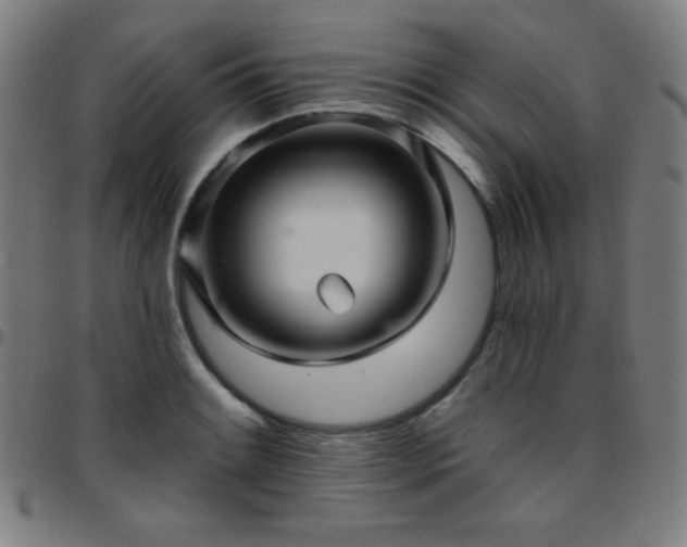 X0000097651084200803071504