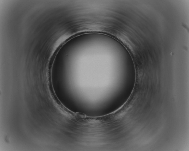 X0000097651085200803071504