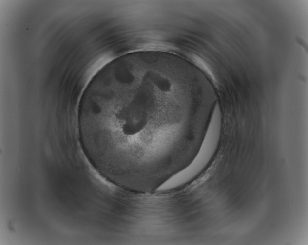 X0000097651087200803071504