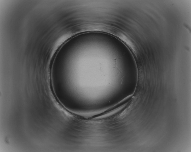 X0000097651088200803071504