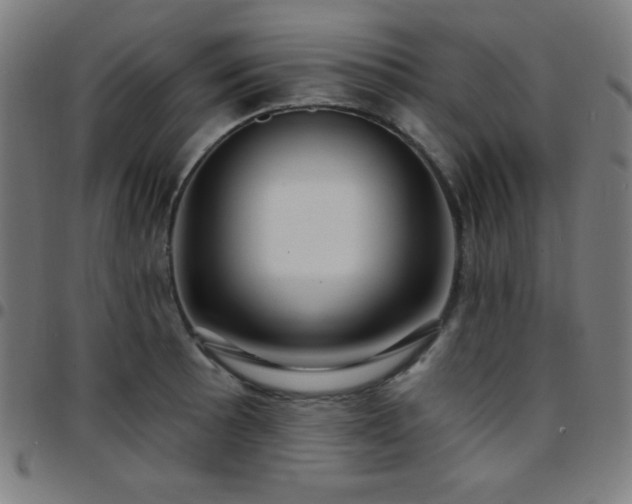 X0000097651089200803071504