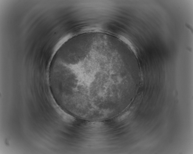 X0000097651090200803071504