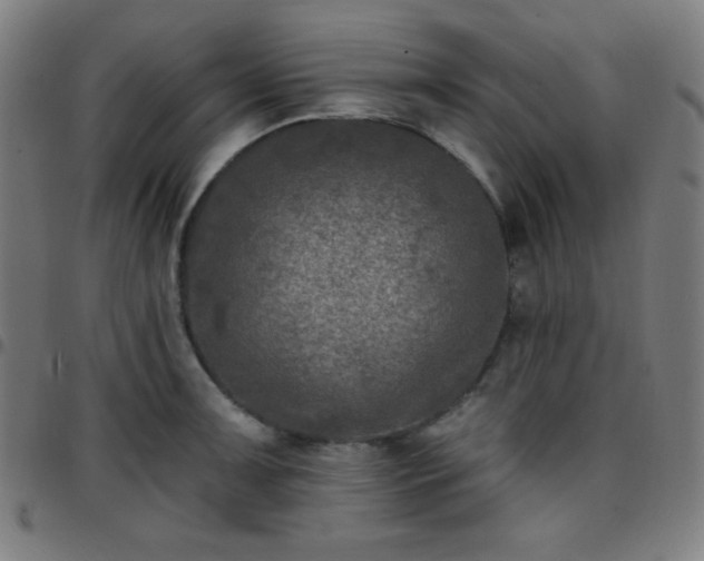 X0000097651091200803071504