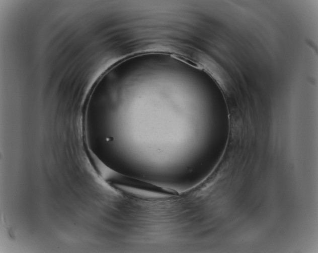 X0000097651092200803071504