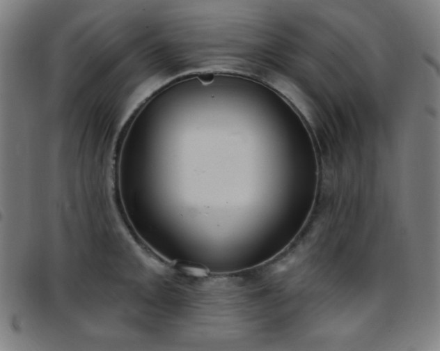 X0000097651093200803071504